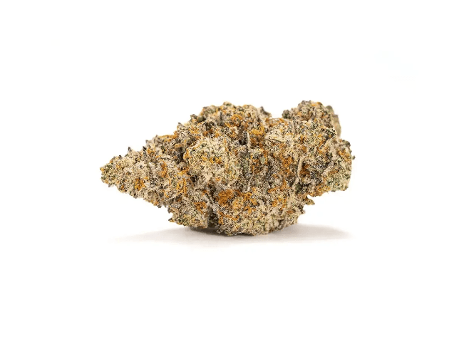 420 Evolution 30/1 CA BUL